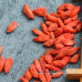 Organische goji Beerenfrucht wolfberry Frucht mit nutritions